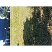 Maury muck TEST image